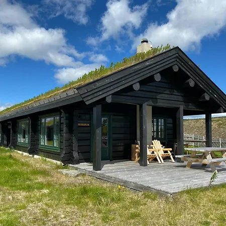 Spacious Family Near Nordre Syndin *