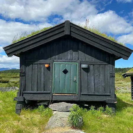 Spacious Family Near Nordre Syndin
