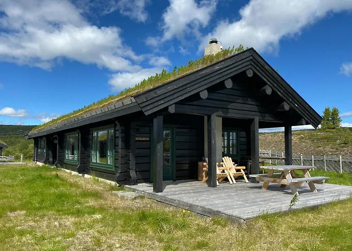 Spacious Family Near Nordre Syndin *