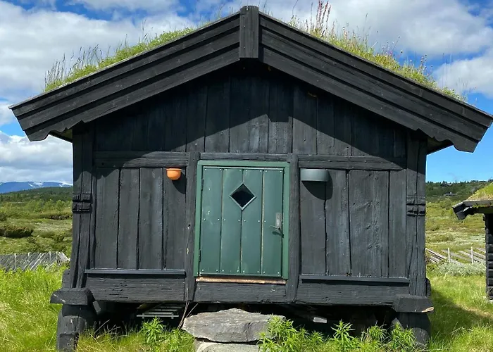 Spacious Family Near Nordre Syndin